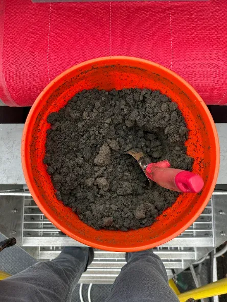 Five-gallon buckets of sludge ready for a pilot test