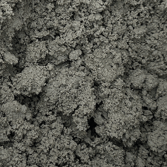 Chemical sludge before ELODE