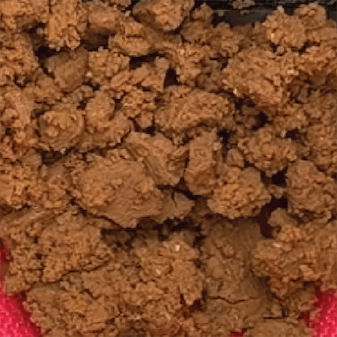 Food sludge before ELODE