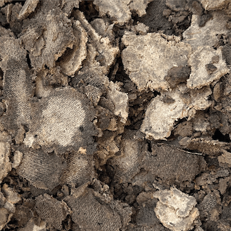 Paper sludge after ELODE