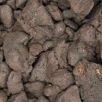 Paper sludge before ELODE